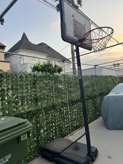 Basket Ball Stand Life Time