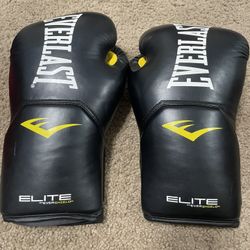 Everlast Boxing Gloves