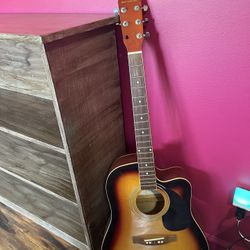 Guitar That Needs Tlc