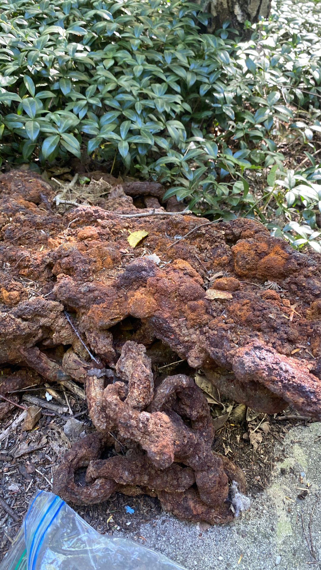 Sunken chain under salt water for years great for decor in yard