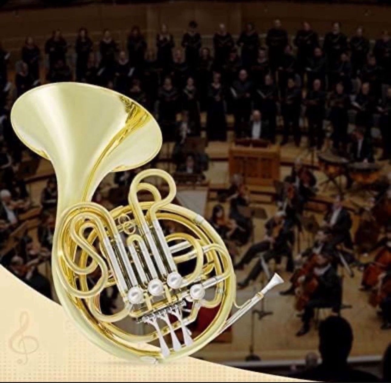 Double French Horn F/Bb 4 Keys Nickel plated&Gold Craft Lacquer Brass French Horn With French Horn Case, Mouthpiece, Gloves, Cleaning Cloth and Brush
