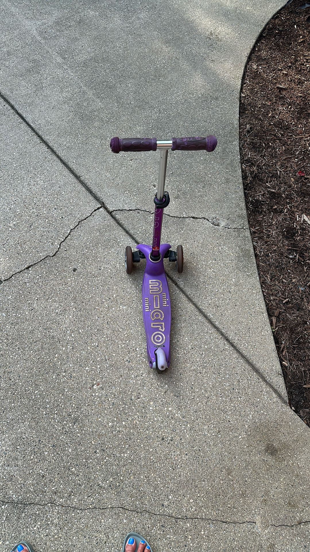Micro Scooter