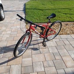 Adult GT backwoods mountain bike single gear.  ready to ride