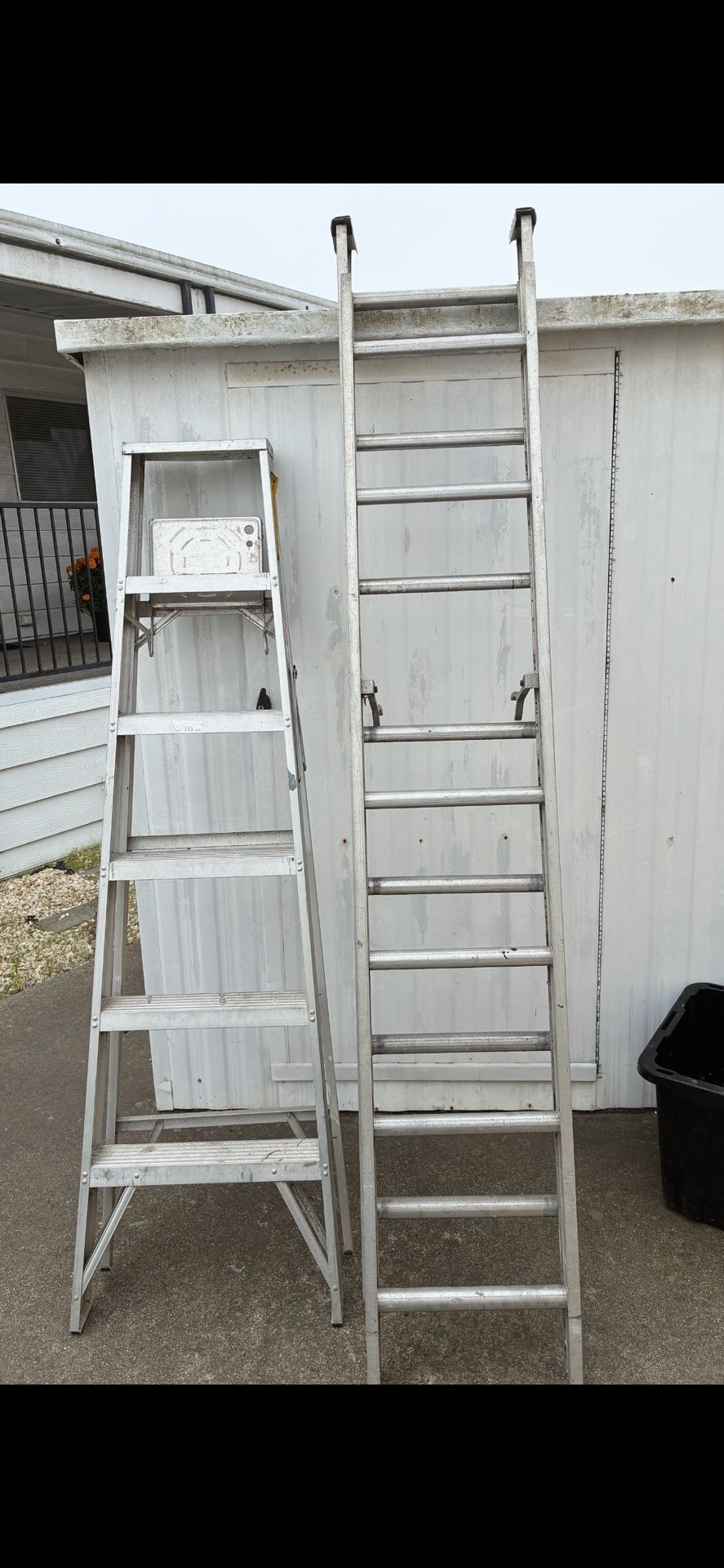Both Ladders
