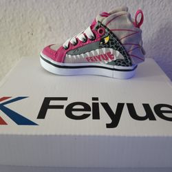 Feiyue