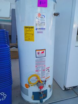 Rheem Guardian Fury Gas Water Heater