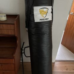 Punching Bag 