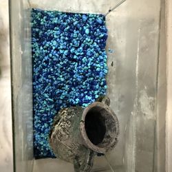 2.5-3 gallon fish tank and supplies gravel vacuum, net, filter heater