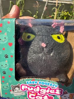 Cats squishy