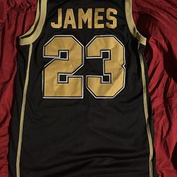 LeBron James St Mary jersey 