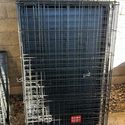 Large double door dog crate