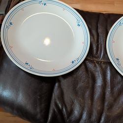 Country Violets 7 10.5" Plates