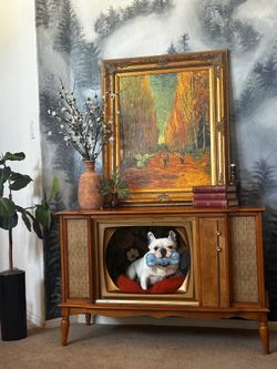 Mcm tv pet bed