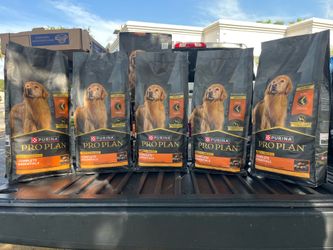 Dog food