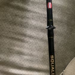 PENN SQUALL Fishing Pole