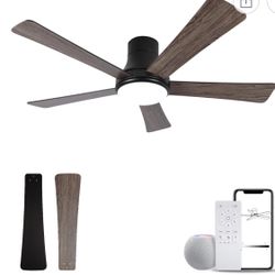 Ceiling Fan