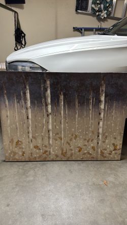 Framed canvas