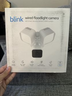 Blink Flood Light