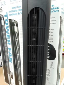 Fan Tower stay cool in this hot summer