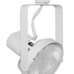 Juno T690-WH Trac-Master PAR38 Track Head/Can/Canister Light White 245A0E 245OE