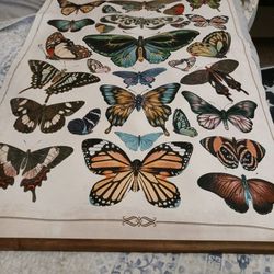 Butterfly Burlap & Wood Scroll Wall Decor 29-3/4" x41-1/2" DA9259