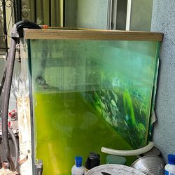 Fish Tank & Filter
