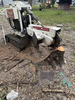 Stump Grinding