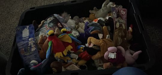 Beanie babies