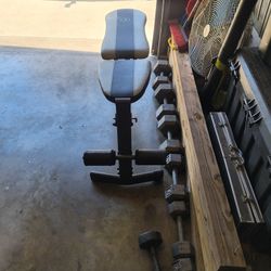 Weight Bench An Dumbbells 