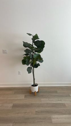 Artificial Fiddle Leaf Fig Tree with White Planter & Wood Stand