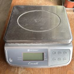 San jarmar SCDG 66lb Escali Dual Display screen commercial scale