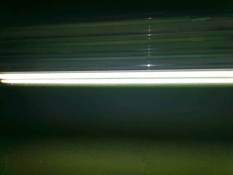 Grow Lights And Seed Heating Pad