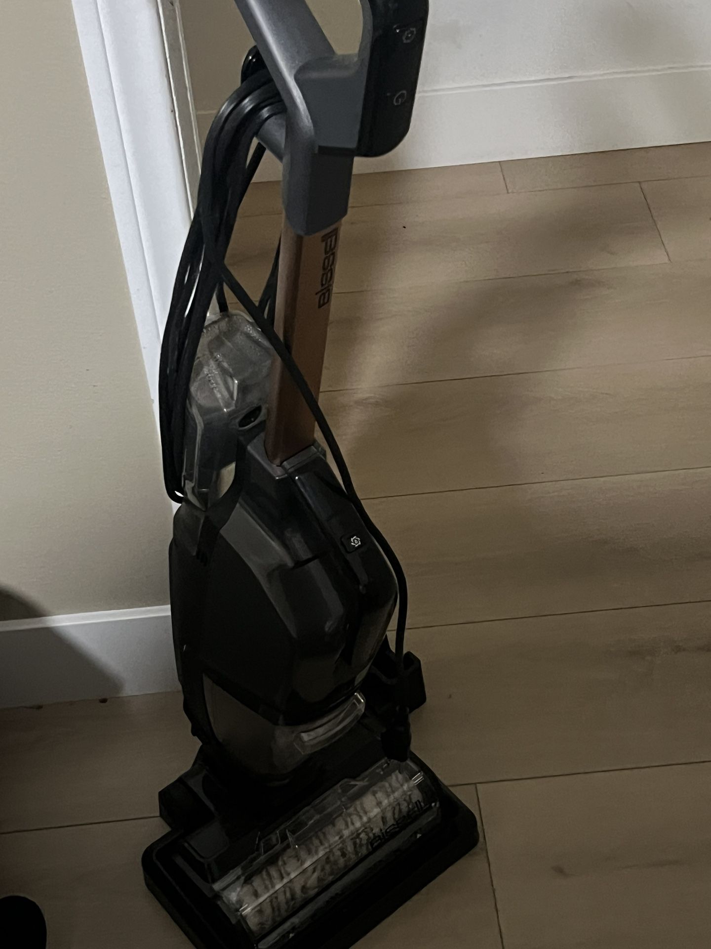 Bissell Floor Steamer