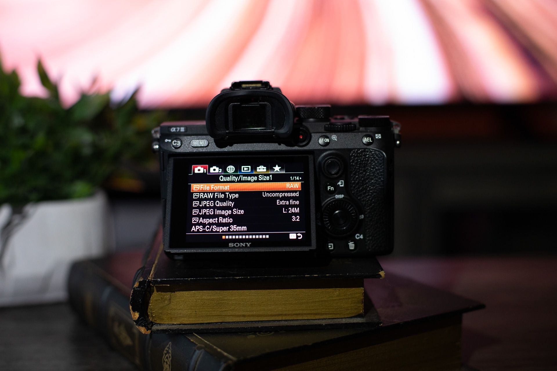 Sony A7iii + 50 Mm 1.8