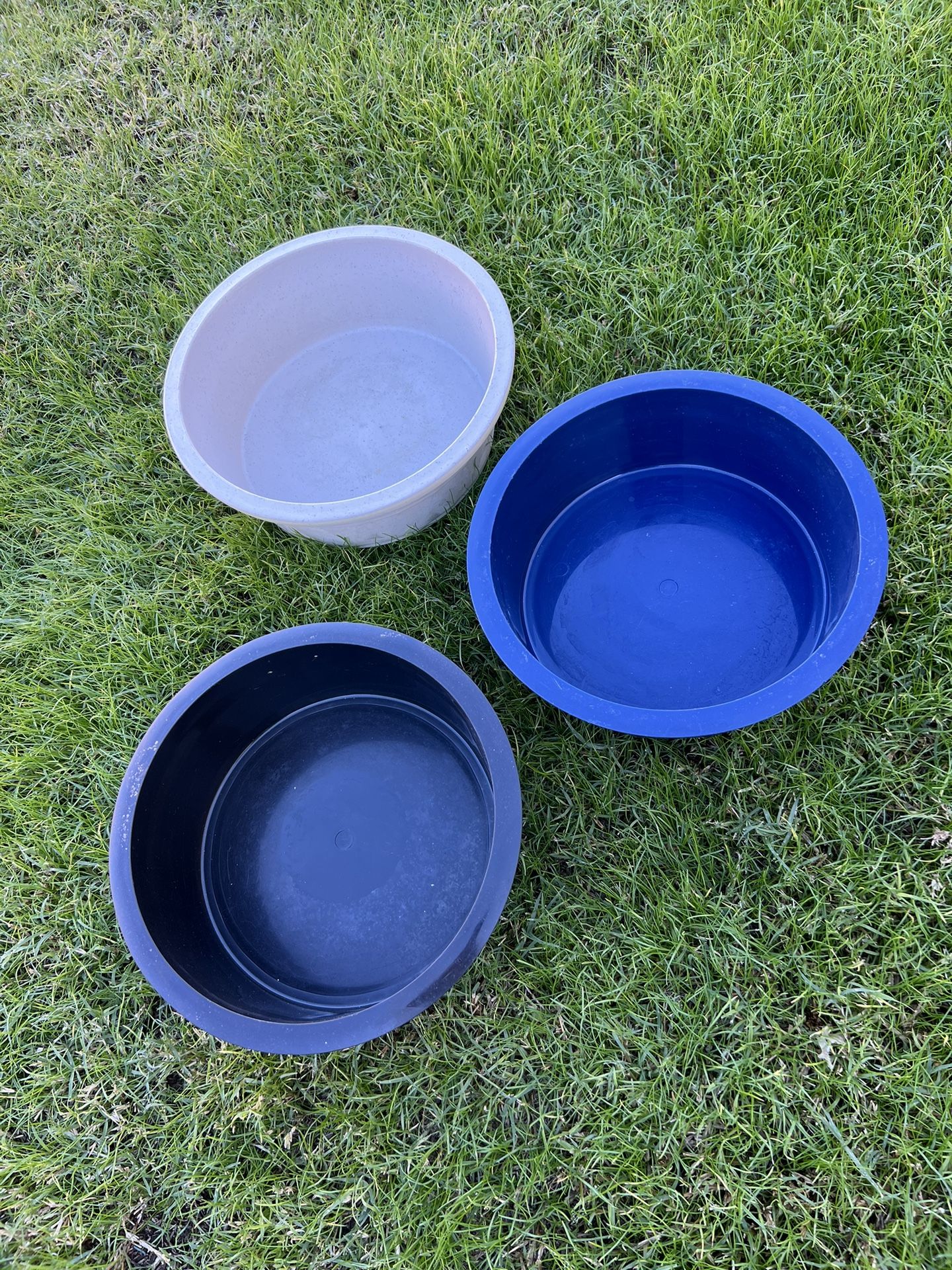 Vibrant Life Large Dog Bowl