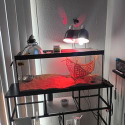 Reptile Tank/ Accessories 