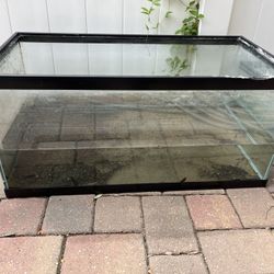 50 Gal Tank