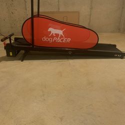 Dog Treadmill 