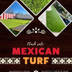 Mexican Artificial Grass