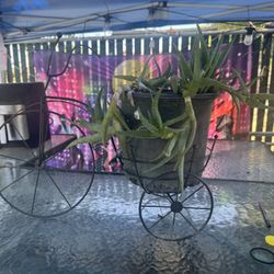 Bicycle plant holder carriage plant holder $20 for both