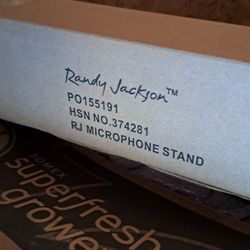 Randy Jackson Guitar