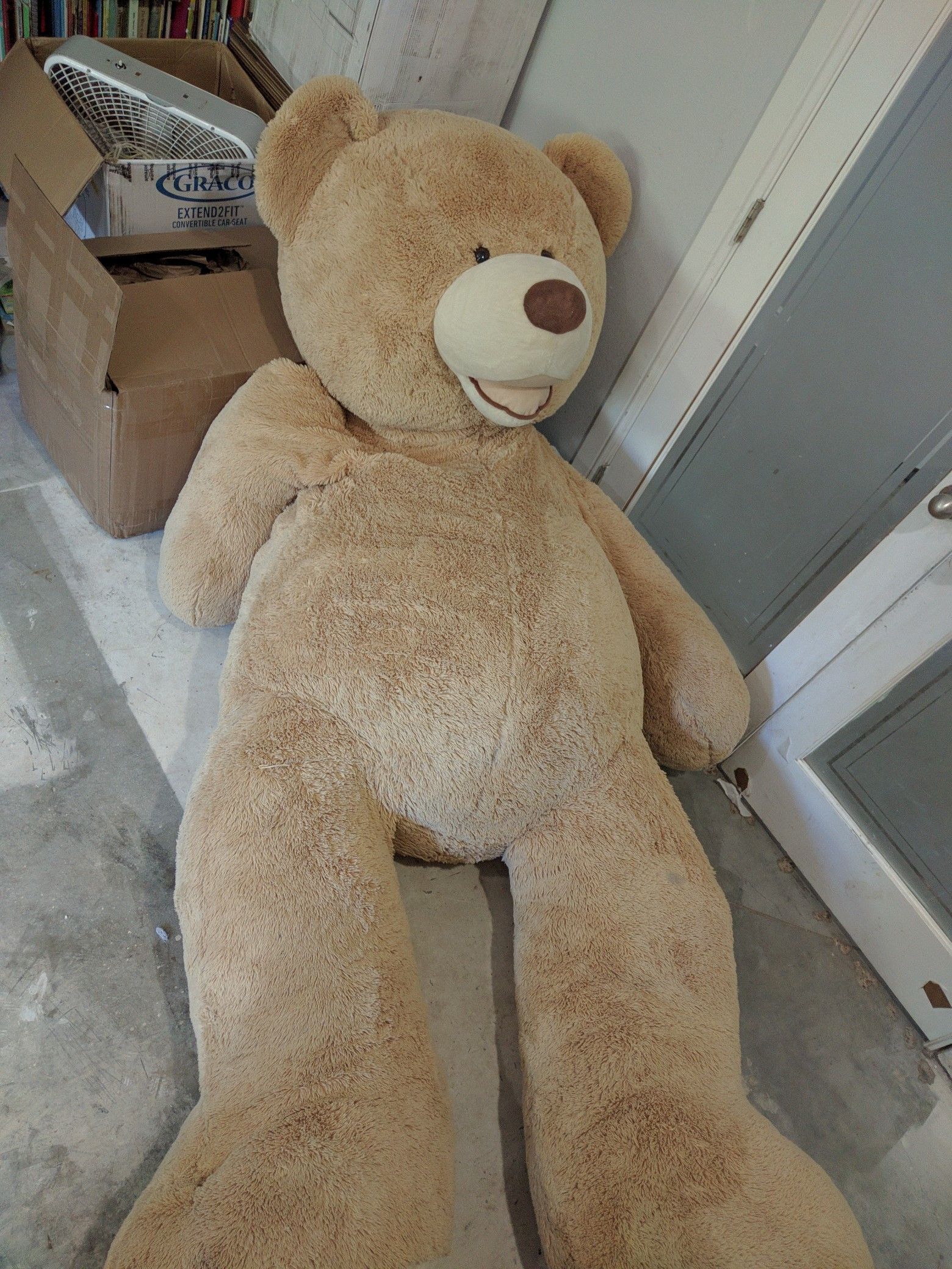 GIANT COSTCO BEAR