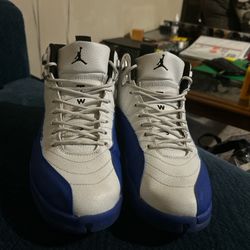 Blueberry Jordan 12s