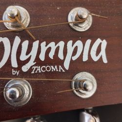 Olympia By Tacoma Guitar Company