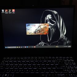 ACER NITRO V15 GAMING LAPTOP 
