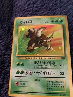 Japanese pinsir