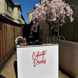 Pink Cherry Blossoms For Events 