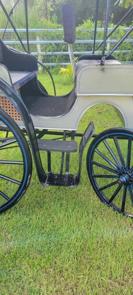 Horse Carriage ( Carruaje Para Caballo 🐴 )
