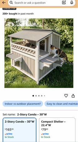 Cat/Animal House