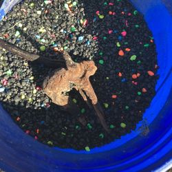 Multicolor Fish Tank Rocks